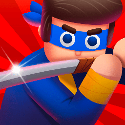 Mr Ninja - Slicey Puzzles cover art