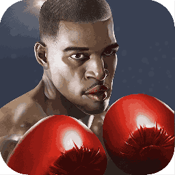 Punch Boxing 3D cover art